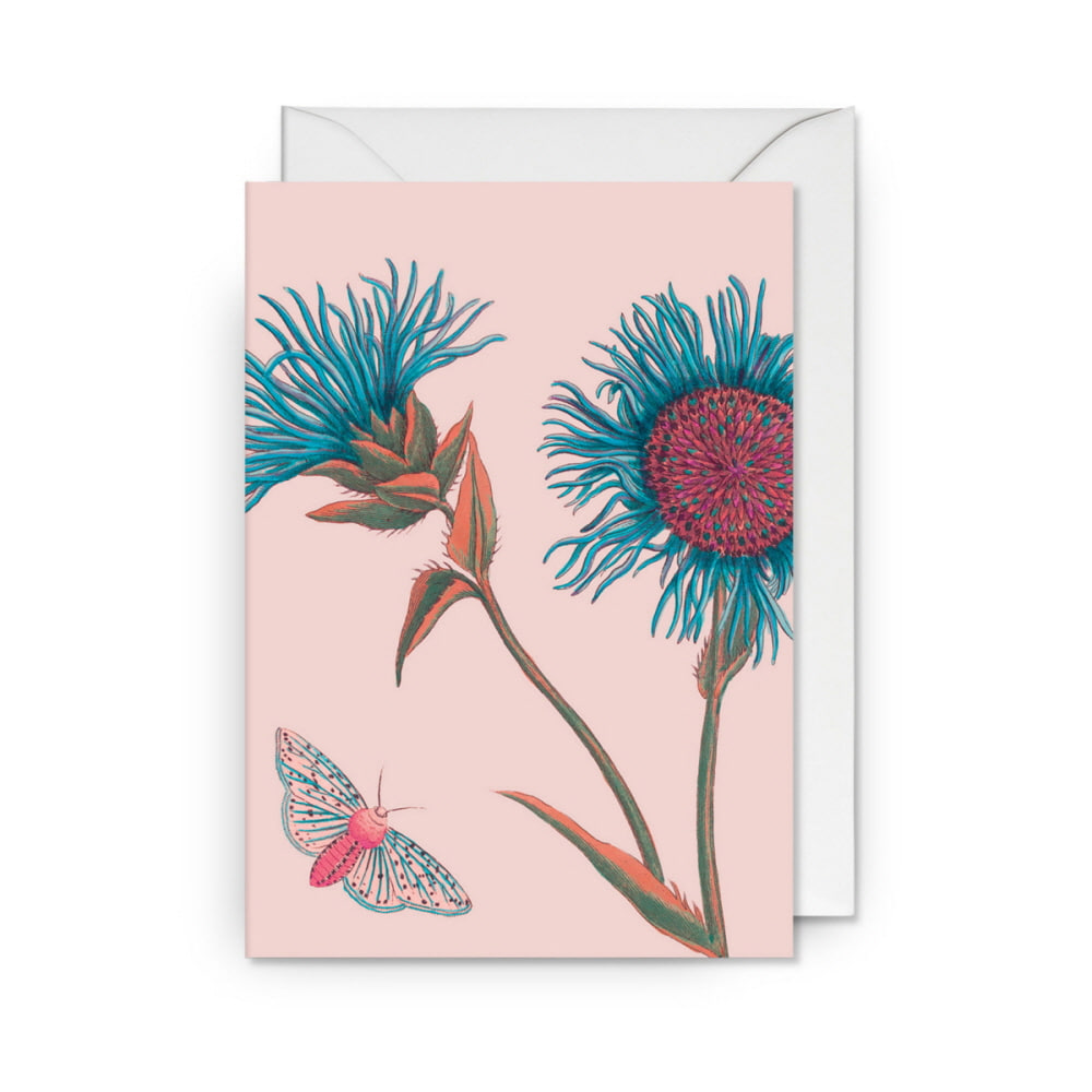 [큐가든] KEW 기프트 메세지 카드 Butterfly and Blooms Greeting 6447