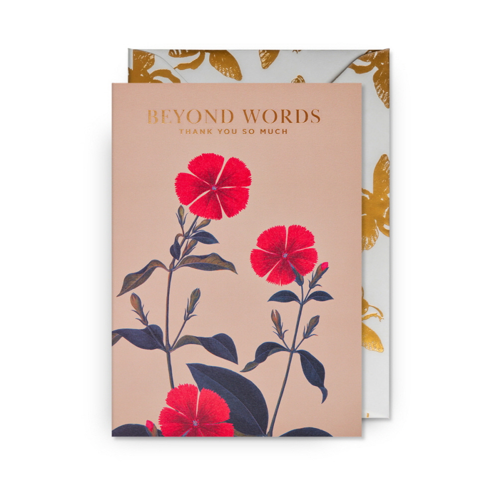 [큐가든] KEW 기프트 메세지 카드 Floral Beyond Words Thank You 6454