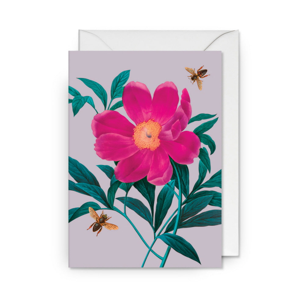 [큐가든] KEW 기프트 메세지 카드 Gentiana Floral Greeting 6371
