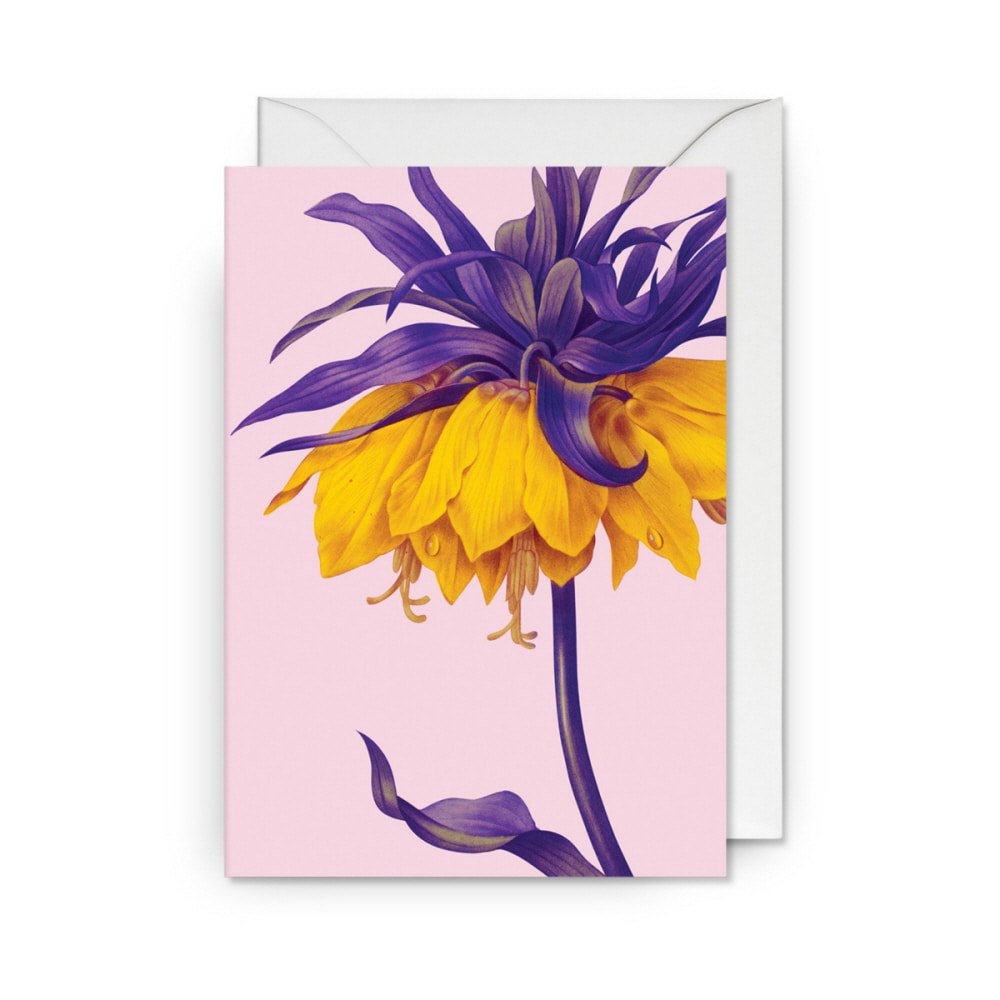 [큐가든] KEW 기프트 메세지 카드 Yellow Crown Imperial Floral Greeting 6370